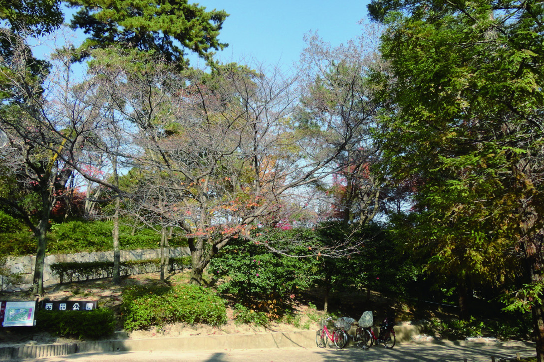 西田公園の風景